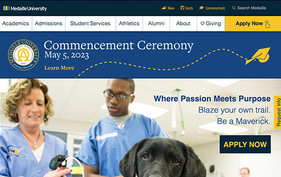 Medaille College website Medaille College website